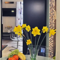 Отель Dorothilux Apartment Венгрия, Будапешт - отзывы, цены и фото номеров - забронировать отель Dorothilux Apartment онлайн питание фото 3