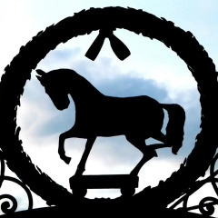 Отель Schwarzes Rössl Австрия, Зальцбург - 1 отзыв об отеле, цены и фото номеров - забронировать отель Schwarzes Rössl онлайн фитнесс-зал