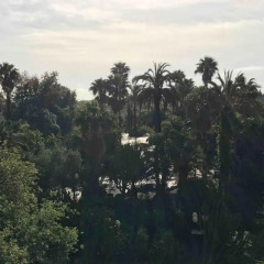 Отель L'Oasi di San Giovanni Сан-Джованни-ла-Пунта балкон