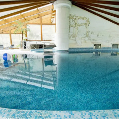 Отель Pałac Piorunów & Spa бассейн фото 2