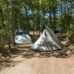 Отель Micro Cabana Rotativa