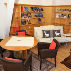 Отель Melkerhof Appartements Австрия, Вена - отзывы, цены и фото номеров - забронировать отель Melkerhof Appartements онлайн развлечения