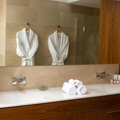 Отель Vienna Suites 3* Президентский люкс с различными типами кроватей фото 3