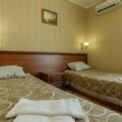Mini-Hotel Tri Art Стандартный номер с различными типами кроватей фото 7