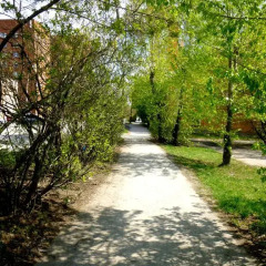 Гостиница Hostel Puzzle в Екатеринбурге отзывы, цены и фото номеров - забронировать гостиницу Hostel Puzzle онлайн Екатеринбург приотельная территория