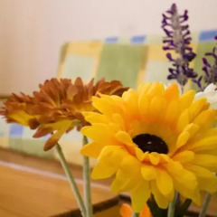 Отель Apartamentos Dana Madrid удобства в номере фото 2