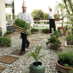 Hotel Apollo – Terme & Wellness LifeClass фото 4