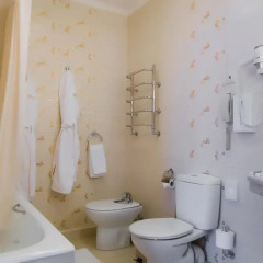 Гостиница Интурист-Краснодар 4* Номер Делюкс с разными типами кроватей фото 4