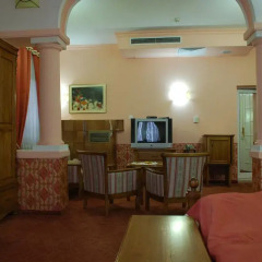 Hotel Restaurant Odeon 3* Люкс с различными типами кроватей фото 10