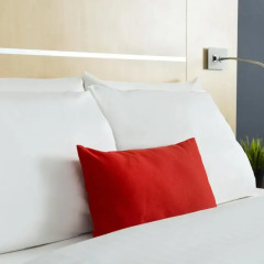 Отель Holiday Inn Express Frankfurt Messe 3* Стандартный номер с различными типами кроватей фото 11