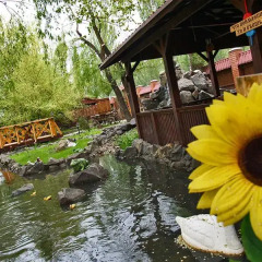 Гостиница Inn Gusy-Lebedy