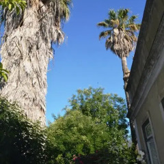 Отель Lisbon Budget Inn Лиссабон фото 5
