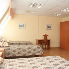 Гостиница Купеческий Дом 2* Номер Эконом разные типы кроватей фото 2