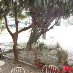 Отель Casa Per Ferie Alle Lagune пляж