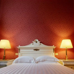 Hotel Regency 5* Полулюкс с двуспальной кроватью фото 5
