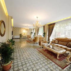 Отель Lemis Suite Istanbul интерьер отеля фото 2