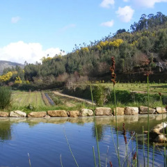 Отель Naturena Agro-Turismo 3* Номер Делюкс разные типы кроватей