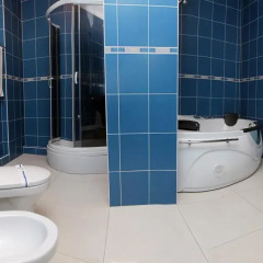 Platinum Hotel 3* Улучшенный номер с разными типами кроватей фото 10