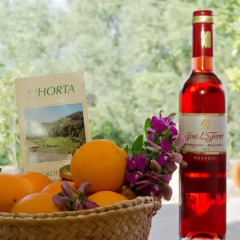 Отель Agroturisme s' Horta спа