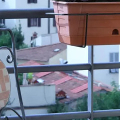 Отель B&B Silvia In Florence балкон