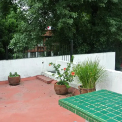 Апартаменты Sunflower Apartment near Coyoacan District Мехико спортивное сооружение
