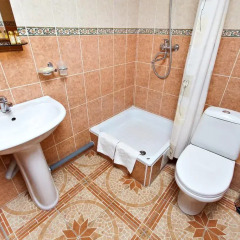 Гостиница Гвардейская 2* Стандартный номер разные типы кроватей фото 11