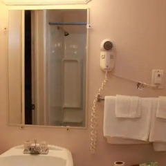 Отель America's Best Inn and Suites США, Ниагара-Фолс - 1 отзыв об отеле, цены и фото номеров - забронировать отель America's Best Inn and Suites онлайн ванная фото 2