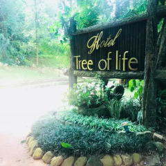 Hotel Tree of Life пляж