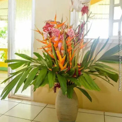 Отель Ackee Tree Sea View Villa интерьер отеля фото 3