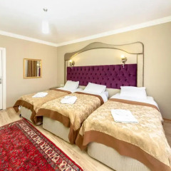 Ottoman Palace Hotel Edirne 3* Стандартный номер с различными типами кроватей фото 9