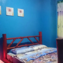 Отель Poga Backpackers 2* Номер категории Эконом с различными типами кроватей фото 4