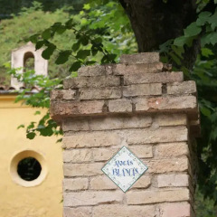 Отель Alberg Roques Blanques Рибес-де-Фресер развлечения
