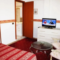 Hotel Giulietta e Romeo 3* Стандартный номер с различными типами кроватей фото 16