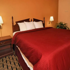 Отель Clarion Inn & Suites Northwest 2* Стандартный номер с различными типами кроватей фото 4
