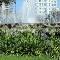 Отель BCN Urban Hotels Gran Ducat Испания, Барселона - 5 отзывов об отеле, цены и фото номеров - забронировать отель BCN Urban Hotels Gran Ducat онлайн приотельная территория фото 2