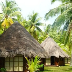 Отель Blue Heaven Island Французская Полинезия, Бора-Бора - отзывы, цены и фото номеров - забронировать отель Blue Heaven Island онлайн пляж