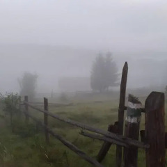 Гостиница Lisoviy Zrub балкон