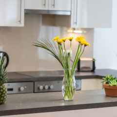 Отель Executive Suites Margareten by welcome2vienna Австрия, Вена - отзывы, цены и фото номеров - забронировать отель Executive Suites Margareten by welcome2vienna онлайн интерьер отеля
