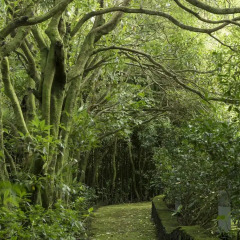Отель Quinta da Mó Фурнаш фото 12