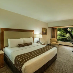 Отель Wyndham Garden Guadalajara Expo 3* Стандартный номер с различными типами кроватей фото 5