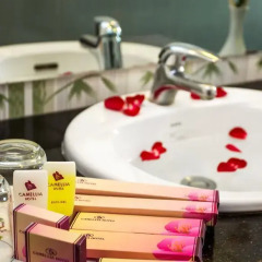 Camellia Boutique Hotel 3* Номер Делюкс с различными типами кроватей фото 21