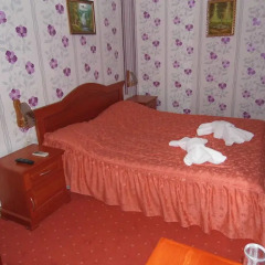 Отель Guest House Cheshmeto 3* Стандартный номер фото 2