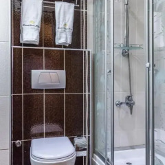 Grand Rosa Hotel 4* Стандартный номер с различными типами кроватей фото 10