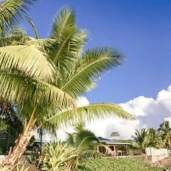 Отель Tahiti Surf Beach Paradise фото 11