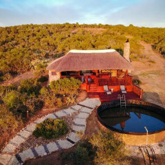Отель Harmony Game Lodge Южная Африка, Аддо - отзывы, цены и фото номеров - забронировать отель Harmony Game Lodge онлайн бассейн