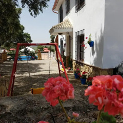 Отель Casa Rural Cabeza Alta Алькаудете детские мероприятия фото 2