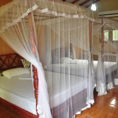 Отель Green Villa 3* Стандартный номер с различными типами кроватей фото 2