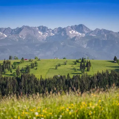 Отель Pensjonat Góralska Chata Закопане спортивное сооружение