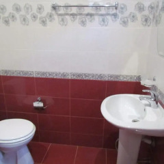 Отель Guest House DARiS Сочи ванная