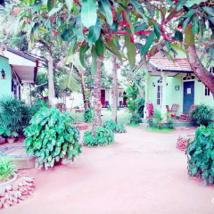 Sylvester Villa Hostel Negombo Кровать в общем номере с двухъярусной кроватью